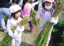 学習田・畑
