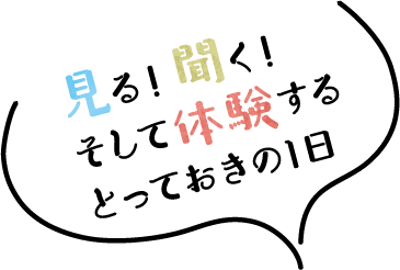 見る！ 聞く！そして体験するとっておきの1日
