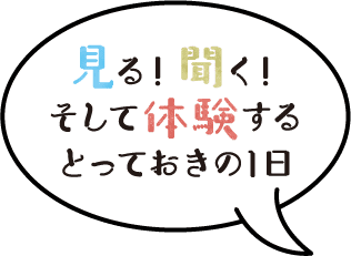 見る！ 聞く！そして体験するとっておきの1日